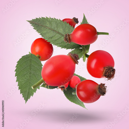 Ripe rose hip berries and leaves falling on pink background