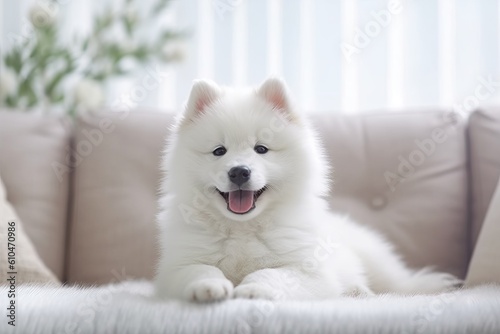 Portrait cute dog sitting on the sofa AI Generative