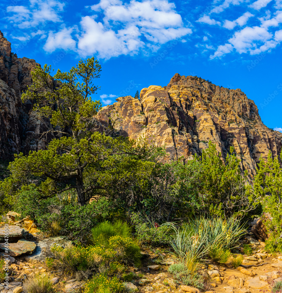 The Rainbow Mountain Range on The Ice Box Canyon Trail, Red Rock Canyon National Conservation Area, Nevada, USA