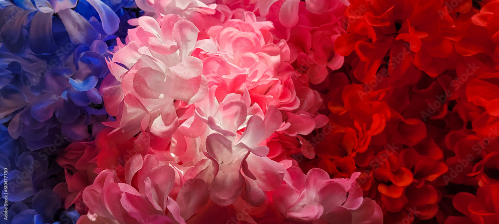 beautiful red flowers background