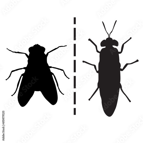 The different between fly and black soldier fly icon vector illustration