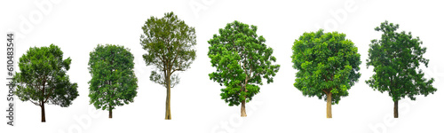 Trees collection isolated on transparent background
