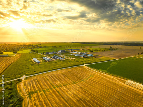 Plantations and farmlands in countryside at back sunset