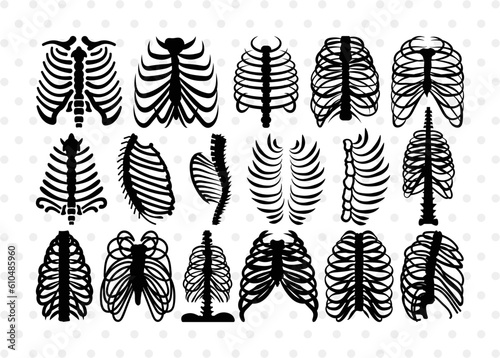 Skeleton Rib Cage Silhouette, Skeleton Rib Cage SVG, Skeleton Svg, Rib Cage Svg, Xray Svg, Skeleton Rib Cage Bundle, SB00157