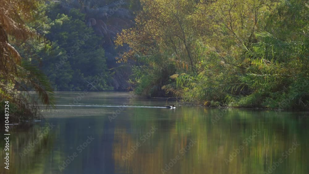 Israel Jordan River Tranquil Landscape View Israel Jordan River Tranquil Landscape View