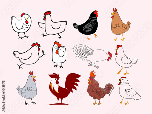 Set of chicken hen rooster icon character poultry farm animal vector illustration collection.