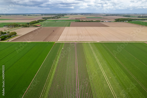 Aerial view of vast farm lands in Netherlands countryside.
