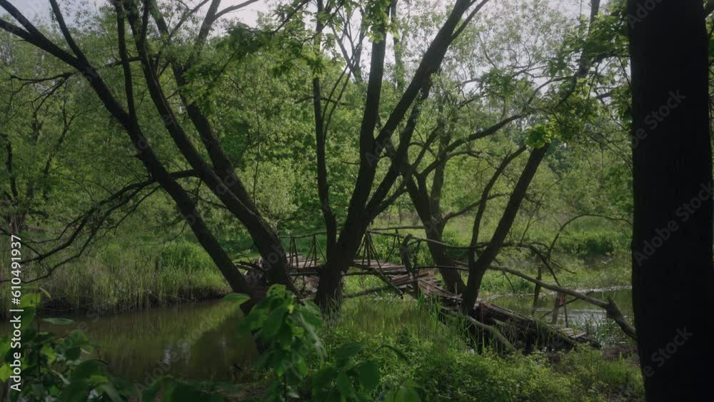 fairytale green forest bridge in spring in lush green trees over a small river