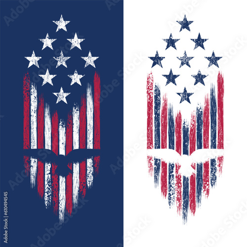 USA hawk grunge flag