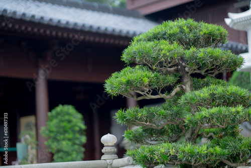 Nan Lian garden, Chinese classical garden, Golden Pavilion of Perfection in Nan Lian Garden, Hong Kong. © maya1313