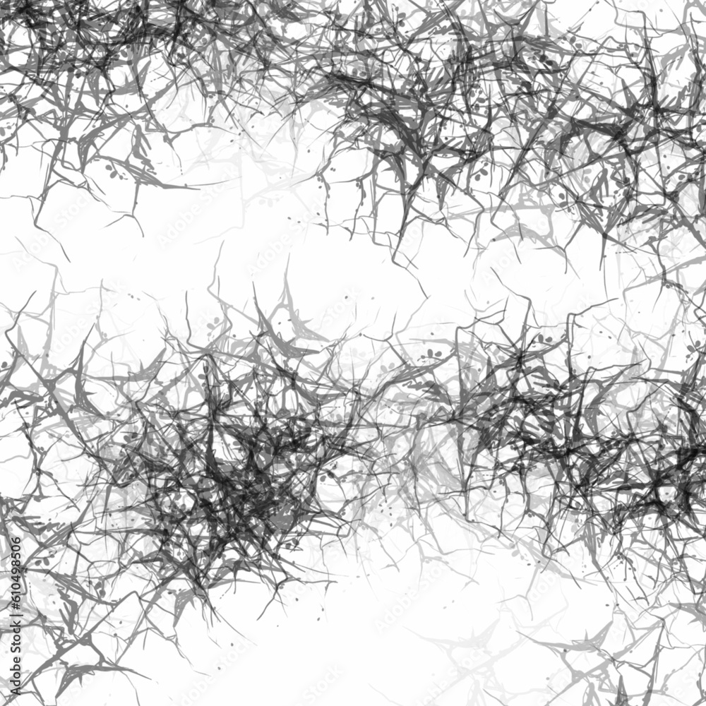 Fototapeta premium Black and White Abstract Illustration