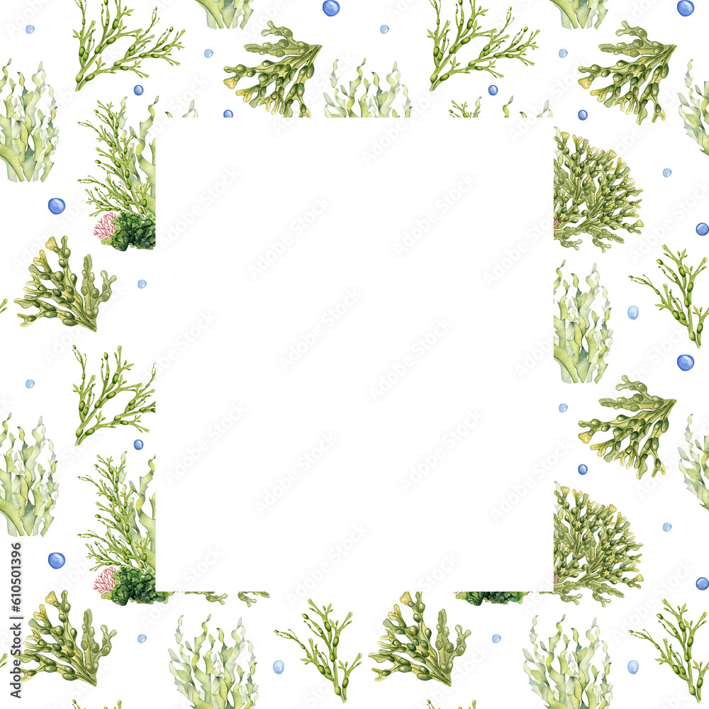 Fototapeta premium Frame of green sea plants watercolor illustration isolated on white. Laminaria, sea salad, ascophyllum hand drawn. Design for package, label, board, label, invitation, wrapping, marine collection