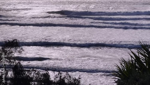 Stunning waves roll in during early morning.  Surfers behind break. Elevated view.