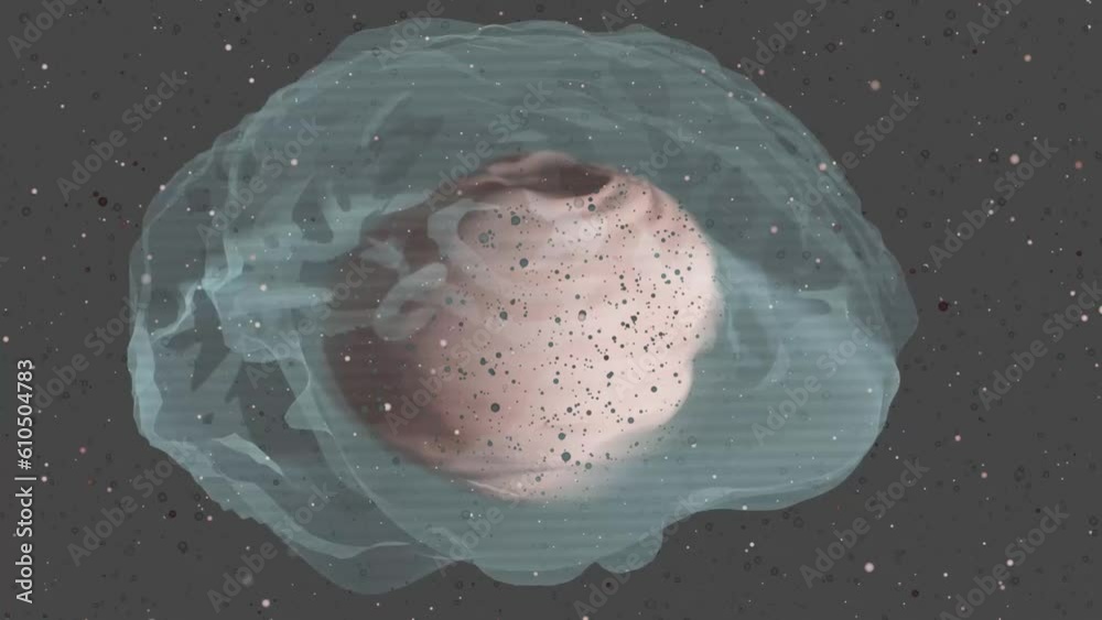 3D rendering di due cervelli che roteano su se stessi