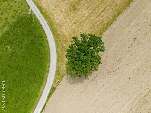 Aerial view of rural road through farmland in Switzerland
