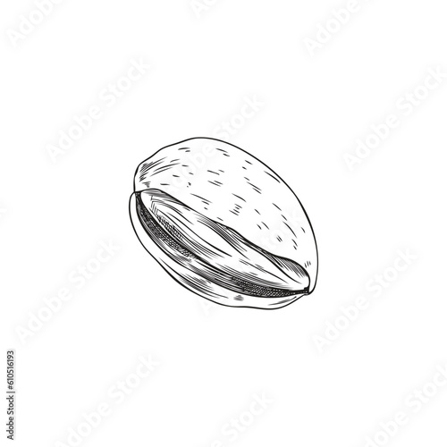 Almond nutshell in hand drawn sketch style, vector illustration isolated on white background.