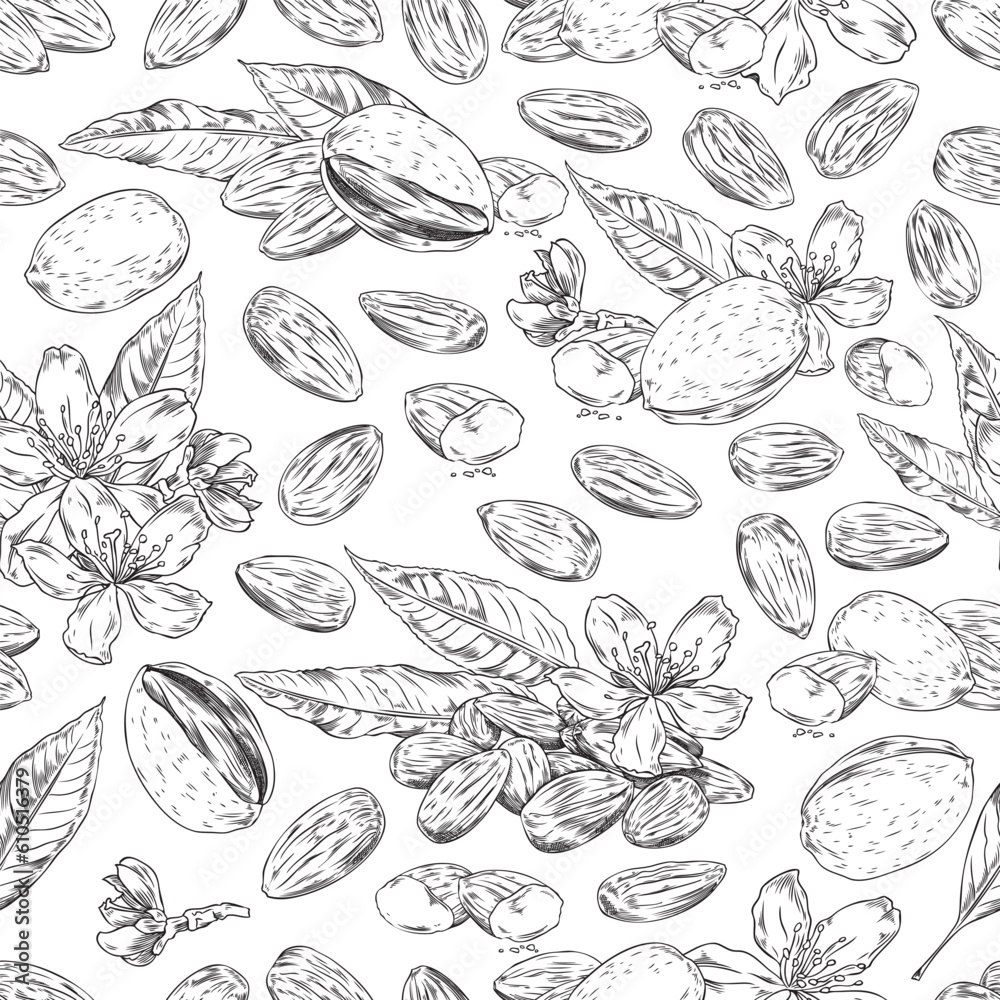 Monochrome almond nut seamless pattern in sketch style, vector illustration on white background.
