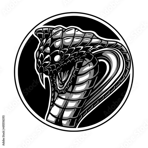Design illustration of cobra snake head in vector form. Color can be adjusted. photo