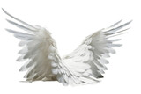 Angel Wings with White Feathers Isolated Illustration on Transparent Background, Generative Ai