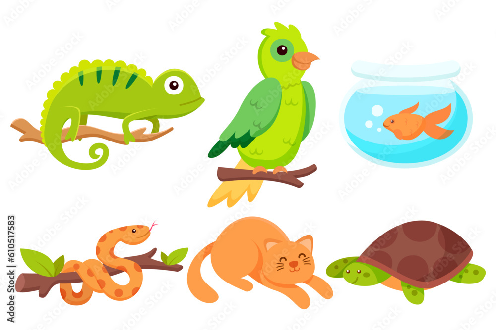 Obraz premium set of various animal isolated on white background illustration