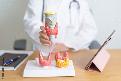 Doctor with human Thyroid anatomy model and tablet. Hyperthyroidism, Hypothyroidism, Hashimoto Thyroiditis, Thyroid Tumor and Cancer, Postpartum, Papillary Carcinoma and Health concept