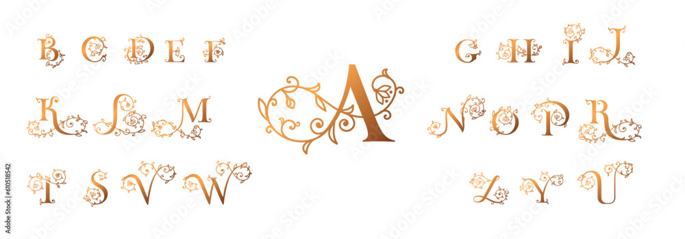 Obraz premium Logo rose set. Floral alphabet logo set. Rose flowers in design. Delicate monograms for wedding, boutique, flower business, fashion, cafe.