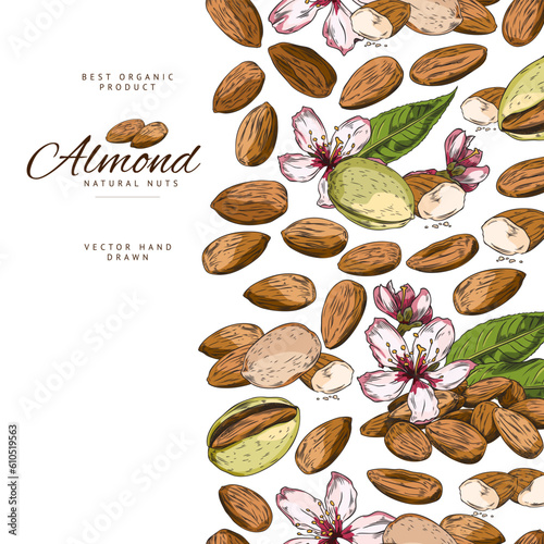 Vertical seamless border with hand drawn colorful almond nuts, flowers and leaves