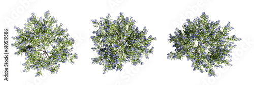 Grass and flowers in 3d rendering 