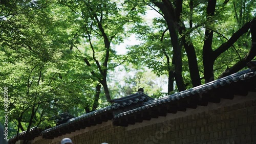 Traditional stone wall and forest trees on a spring day at Deoksugung Palace alley