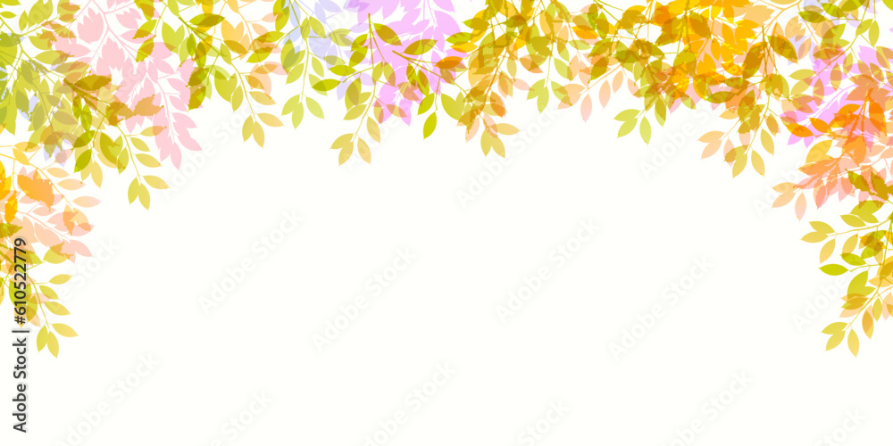 紅葉　葉　秋　背景