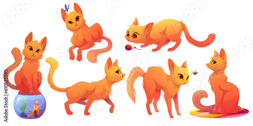 Vector cartoon cat character pose illustration set. Isolated funny ginger pet playful and curious clipart. Mascot posture emoticon expression with bee, ball and aquarium. Walking and lying red animal