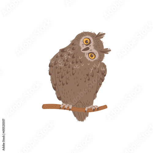 Funny brown long-eared owl sitting on branch tilting head flat style