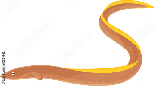 color vector illustration of eel fish, proper nutrition, seafood, seafood delicacies, long fish