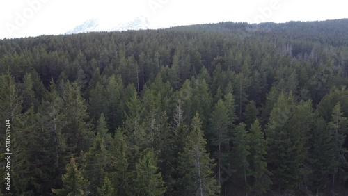 Wallpaper Mural Cinematic drone clip over the lush forests on the mountains of Vitosha in Sofia, Bulgaria Torontodigital.ca