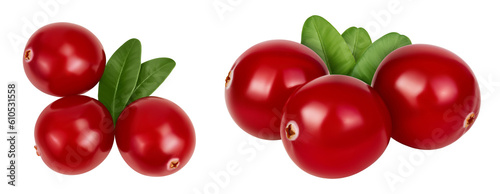 Cranberry with leaves isolated on white background with full depth of field. Top view. Flat lay