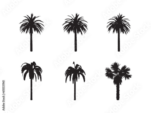 Black palm trees set isolated on white background. Palm silhouettes. Design of palm trees for posters  banners and promotional items. Vector illustration.
