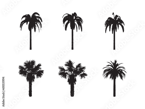 Black palm trees set isolated on white background. Palm silhouettes. Design of palm trees for posters  banners and promotional items. Vector illustration.