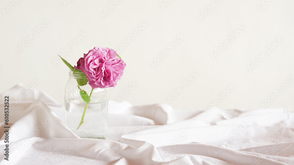 Fototapeta premium Pink flower in a glass jar