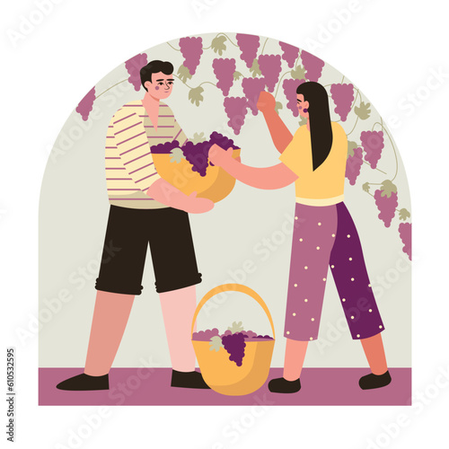 Young male holding basket with grapes and helping lady. Female standing near grape tree and picking fruit. Home natural wine production concept. Flat vector illustration in purple and yellow colors