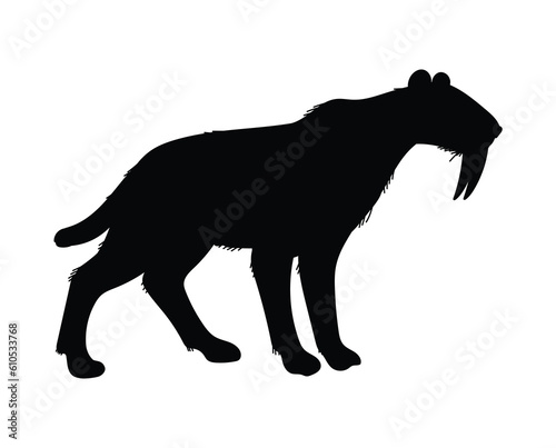 Vector illustration of black silhouette Smilodon, saber toothed tiger, isolated on white background