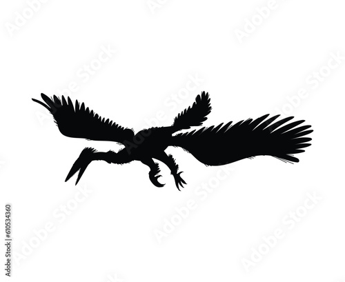 Enantiornis dinosaur  black silhouette icon  vector illustration isolated on white background.