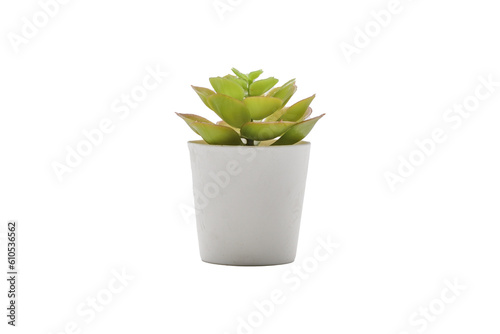 Trees decorate the room transparent. Pot fake plant isolated transparent.Cactus potted PNG.plant pot PNG. minimalist plant pot PNG.Small plant in pot png image.
