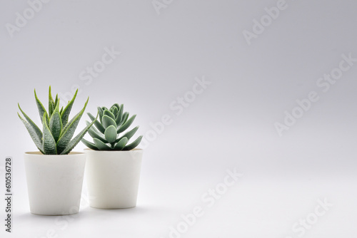 Set Trees decorate the room. Pot fake plant isolated on white background.Cactus potted decoration home office.desk decoration tree.desk decoration plant pot.minimalist plant pot.Small plant in pot.
