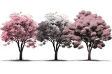 Set of Cherry Blossom Trees Isolated on Transparent Background, Generative Ai
