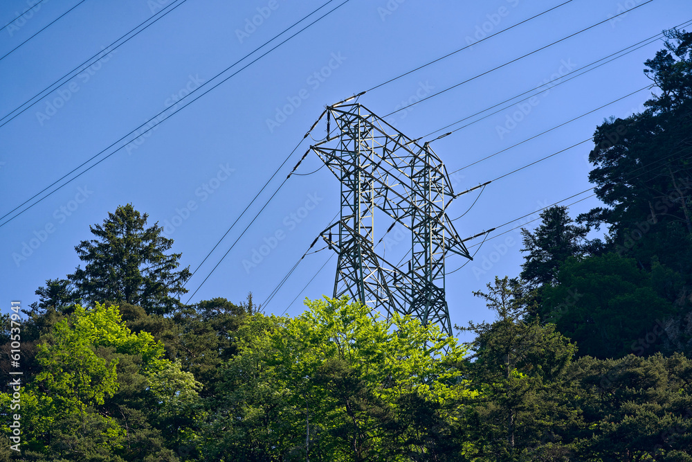 Scenic view of woodland with pylon of power line at Swiss village of Sisikon on a sunny spring day. Photo taken May 22nd, 2023, Sisikon, Canton Uri Switzerland.