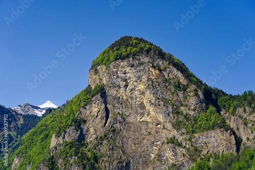 Beautiful mountain panorama with woodland and peak in the Swiss Alps at lakeshore of Lake Lucerne on a sunny spring morning. Photo taken May 22nd  2023  Sisikon  Switzerland.