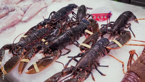 Live blue lobster (Homarus gammarus) for sale in the Central Market of Valencia, Spain. photo