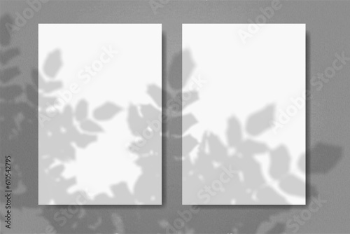 Natural light casts shadows from the foliage of the tree on 2 vertical rectangles sheets of white paper lying on a gray textured background. Mockup