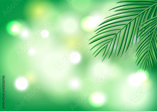 Leaf on green bokeh background.