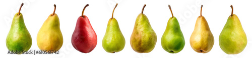 set of isolated illustrations of pear. Created with Generative AI
